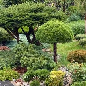 Ландшафтный дизайн 18