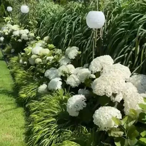 Ландшафтный дизайн 20