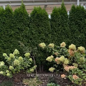 Ландшафтный дизайн 22