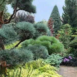 Ландшафтный дизайн 23