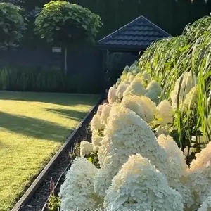 Ландшафтный дизайн 5