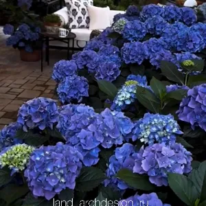 Ландшафтный дизайн 8