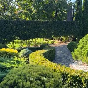 Ландшафтный дизайн 9