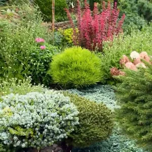 Ландшафтный дизайн 12