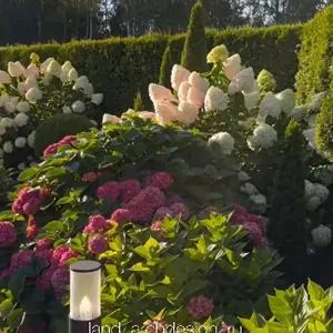 Ландшафтный дизайн 13