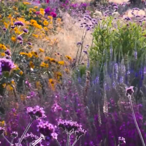 Ландшафтный дизайн 27